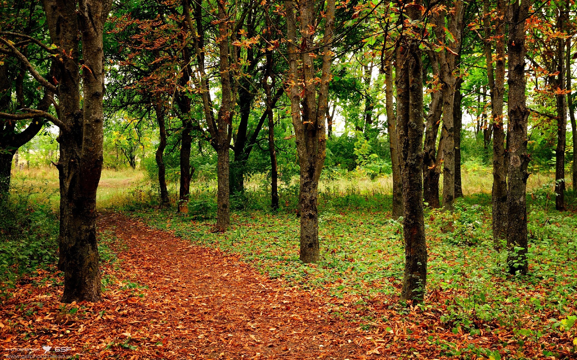 爱游戏下载-当击剑锋刃遇上瑜伽梵音，安赛龙点燃的世界交汇之夜