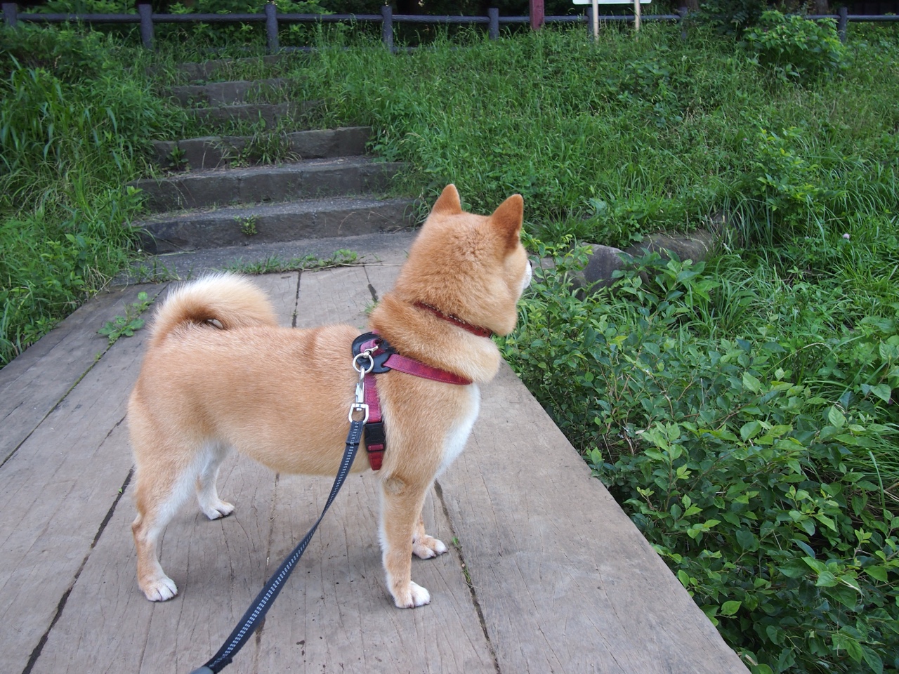 一柄手术刀如何划破表演赛的皮囊