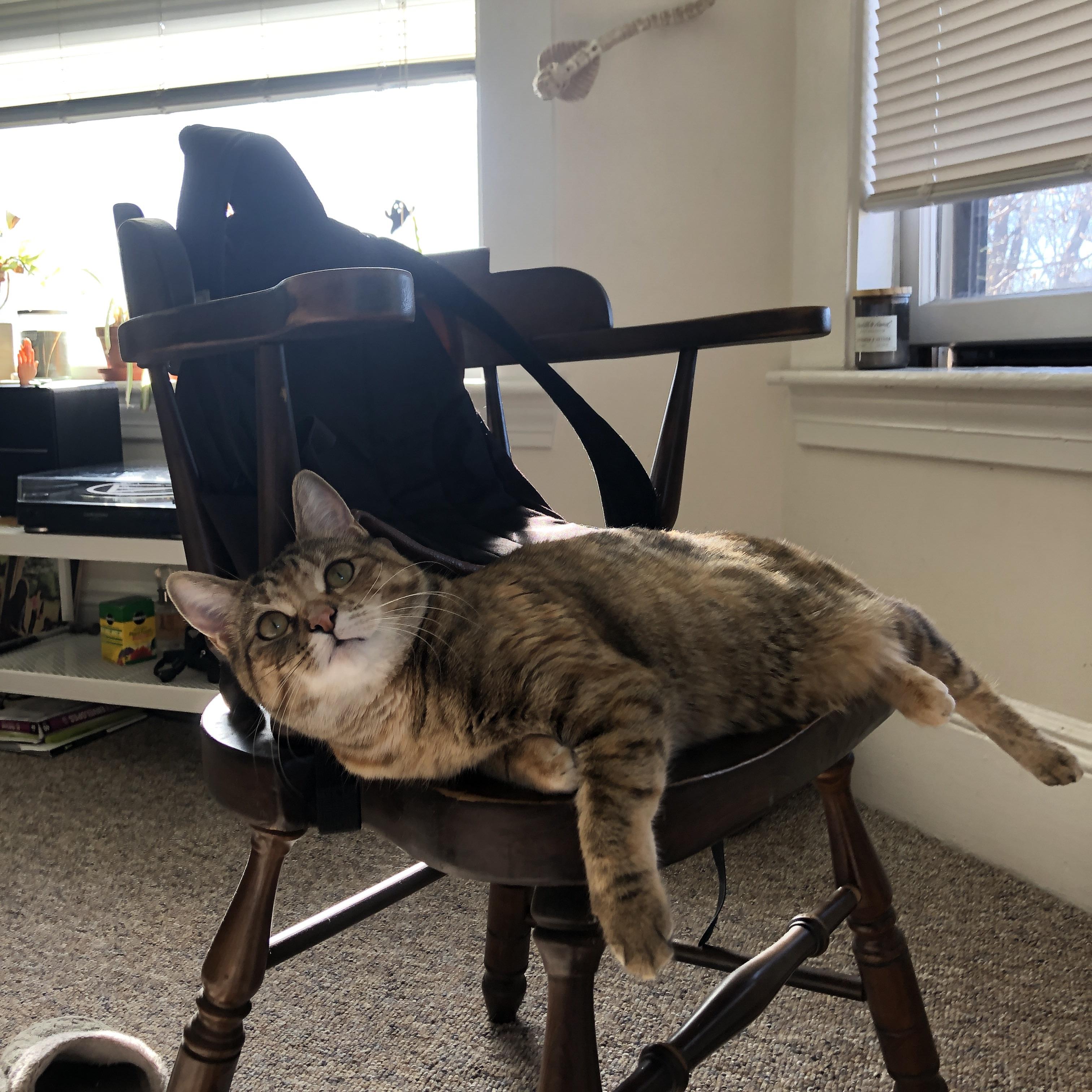 龙城奇迹,CBA山西队在异次元抢七战中横扫NBA灰熊