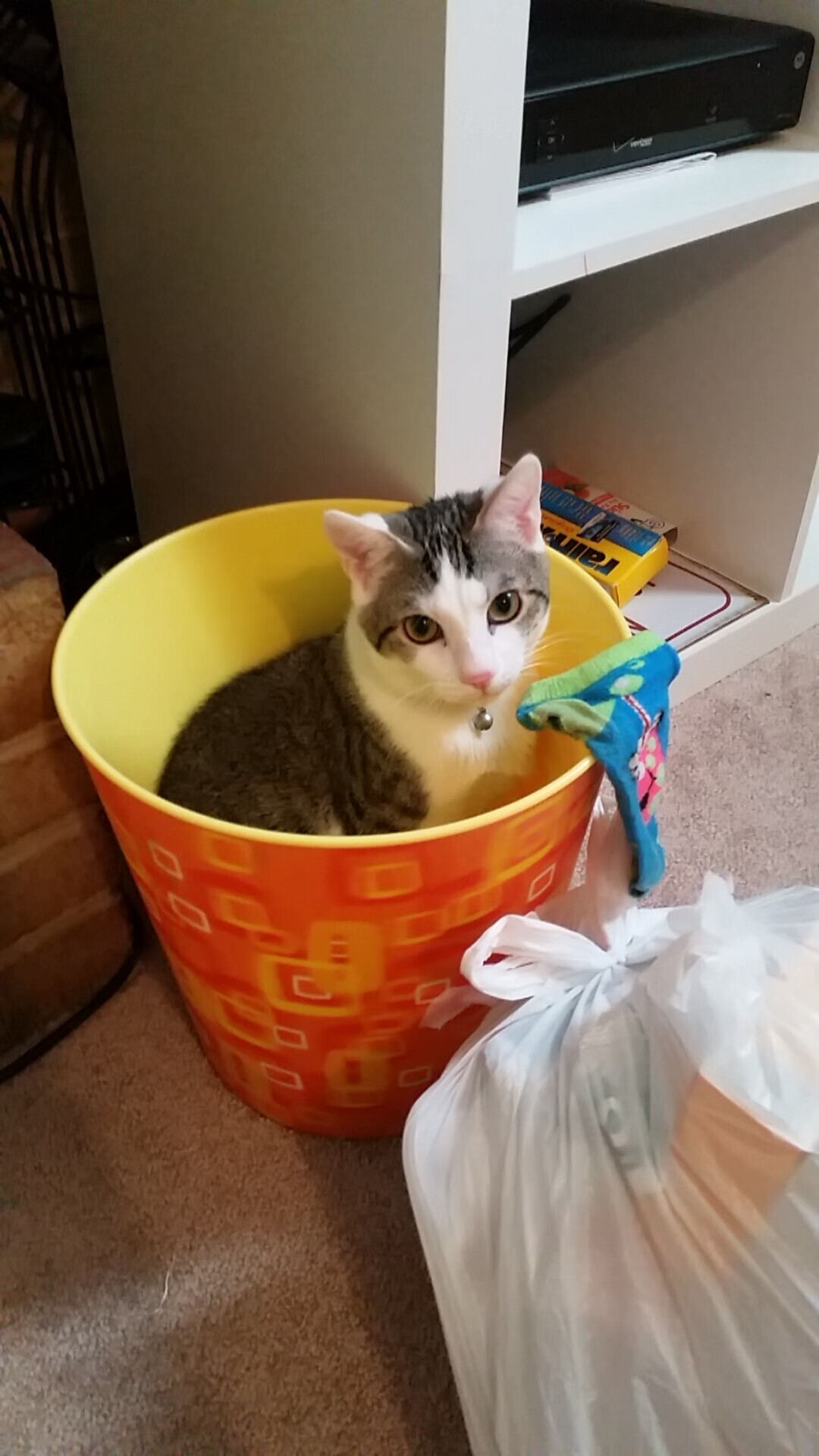 保罗存在感统治攻防，浙江队一波流卷走胜利