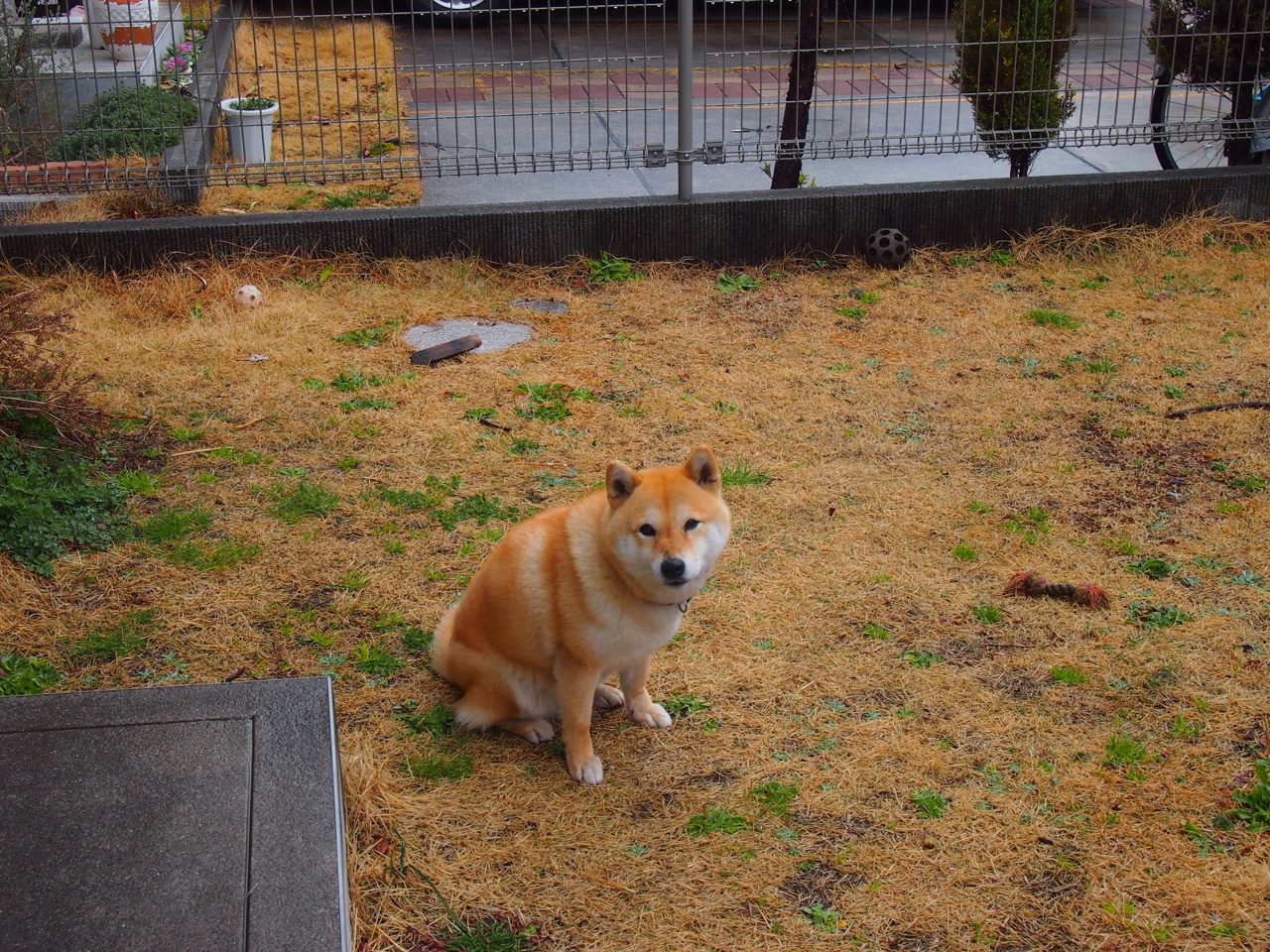 爱游戏官网-圣城新王隔扣定江山！文班亚马制胜封盖+补扣，马刺逆袭击落鹈鹕