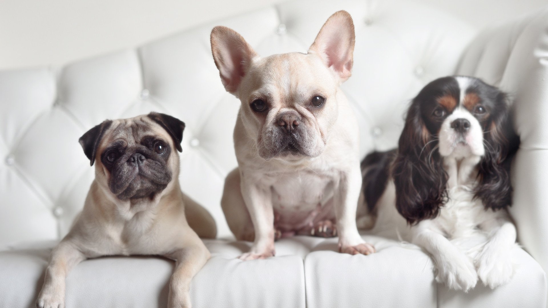 爱游戏体育-终极赌桌，阿什拉夫的世界排名之夜