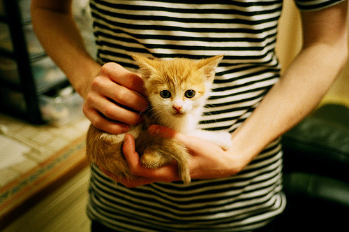 鹈鹕终场潮涌吞海堤,福克斯三分如戟定乾坤