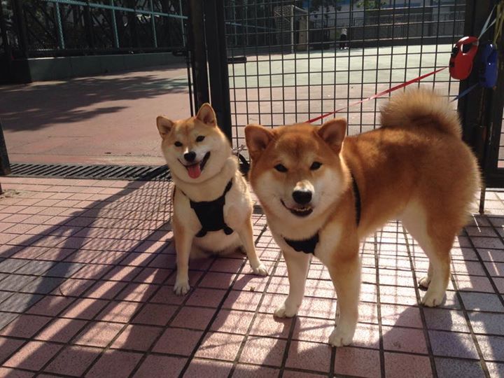 速度与接管,体育世界里,胜利从未有唯一剧本