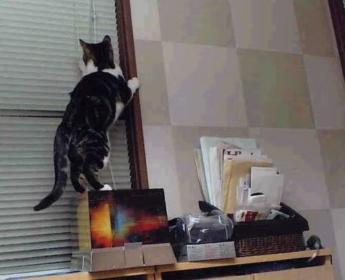 爱游戏娱乐-虽败犹荣！英格拉姆统治全场 却难破步行者铁壁 防守锁死猛龙成比赛真核