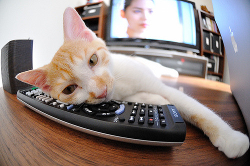 爱游戏在线-唯一之夜，当F1冠军诞生时，西亚卡姆闪耀篮球场