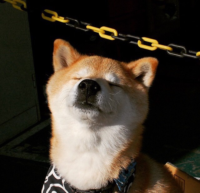 爱游戏官方-征服北境唯一利刃，莱万破冰助马竞强势晋级瑞典