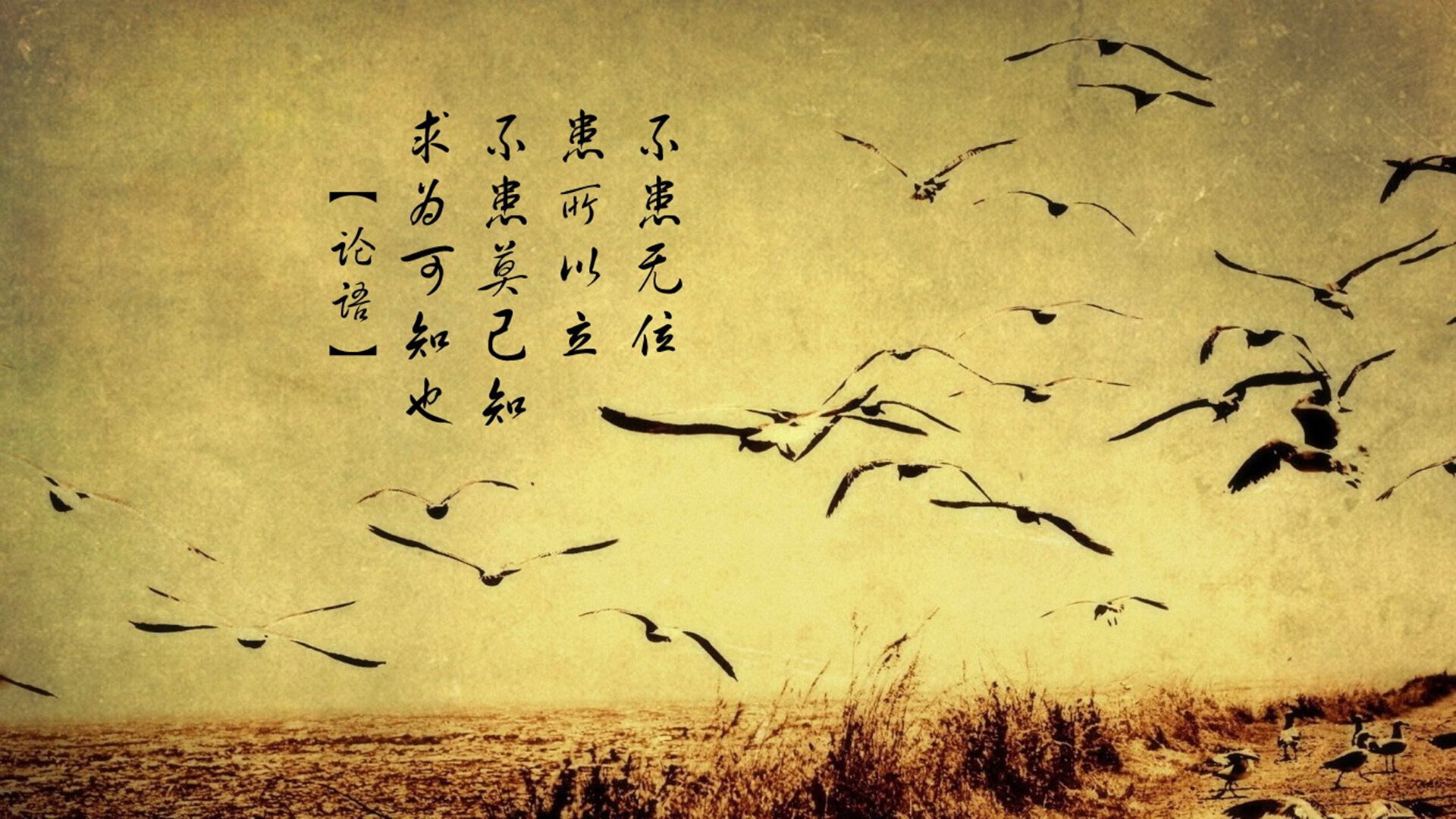 爱游戏tv-历史分岔的玫瑰花园，当未来在波特兰击穿永恒